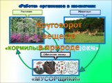 «Работа» организмов в экосистеме: «ЕДОКИ» Обитатели почвы