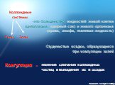 это большинство жидкостей живой клетки (цитоплазма, ядерный сок) и живого организма (кровь, лимфа, тканевая жидкость). Студенистые осадки, образующиеся при коагуляции золей. Коагуляция -. явление слипания коллоидных частиц и выпадения их в осадок