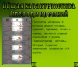 Подгруппа углерода, в которую входят углерод, кремний, германий, олово и свинец, является главной подгруппой 4 группы Периодической системы. История открытия химических элементов IVA группы.