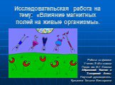 Исследовательская работа на тему: «Влияние магнитных полей на живые организмы». Работа по физике Учениц 9 «Б» класса Лицея им. В.Г. Сизова Абрамовой Ксении и Захаровой Анны. Научный руководитель: Кузьмина Татьяна Викторовна