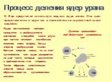 235 142. Деление происходит под действием кулоновских сил. Ядро, поглотившее нейтрон, находится в возбужденном состоянии и подобно капле ртути при толчке начинает колебаться, изменяя свою форму. Когда энергия возбуждения станет больше энергия связи, то за счет кулоновских сил ядро разорвется на две 