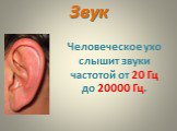 Звук. Человеческое ухо слышит звуки частотой от 20 Гц до 20000 Гц.