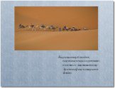 Караван верблюдов, пересекающих пустыню, «помог» знаменитому Эратосфену измерить Землю.
