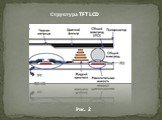 Структура TFT LCD Рис. 2
