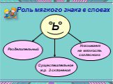 Указывает на мягкость согласного. Существительное ж.р. 3 склонения