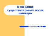 Ь на конце существительных после шипящих. Орфограмма № 8