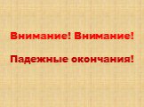 Внимание! Внимание! Падежные окончания!