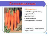 Морковь – огородное растение, корнеплод с оранжевым сладковатым утолщённым корнем. Морковка, морковочка, морковный.