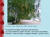 На основе своих наблюдений ребята сделали вывод: Сегодня 10 сентября . Берёзки ещё зелёные, но у них появились яркие веточки с жёлтыми листочками. Наступает пора, которую в народе называют ранняя осень.