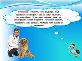 Ветеринару сложнее, чем педиатру. Ведь животные не говорят. Они не могут объяснить: что у них болит. И часто ветеринара, когда он осматривает своего пациента, тот может укусить, поцарапать или клюнуть. Человек себе такого не позволяет.