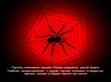 Паутины, сплетаемые пауками, бывают совершенно разной формы. Наиболее распространенная — круглая паутина, но бывают и квадратные паутины, плоские и в форме воронки или купола.