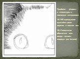Придание формы и текстуры с помощью штриховки­ 14) НВ карандашом сделайте грани верхних и нижних век. 15) Схематично обозначьте мех вокруг головы впереди уха (слева).