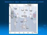 Зависимость форм снежинок от внешних условий