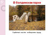 В болдинском парке. Горбатый мостик на Верхнем пруду