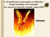 6. Волшебная птица родом из Эфиопии. Когда приходит срок умирает (по одной из версий, сжигает сама себя). Феникс