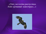 «Тот уж когти распустил, Клёв кровавый навострил…»