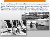 Было освобождено Советское Заполярье, ликвидирована угроза порту Мурманск, разгромлены войска противника в Северной Финляндии, освобожден район Печенги, взят город Петсамо (Печенга). Советские войска вступили в Северную Норвегию.