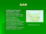 БАМ. Байка́ло-Аму́рская магистра́ль (БАМ) — железная дорога в Восточной Сибири и на Дальнем Востоке. Одна из крупнейших железнодорожных магистралей в мире. Строительство основной части железной дороги, проходившее в сложных геологических и климатических условиях, заняло более 12 лет. БАМ зеленым цве