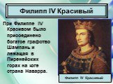 При Филиппе IV Красивом было присоединено богатое графство Шампань и лежащая в Пиренейских горах на юге страна Наварра. Филипп IV Красивый