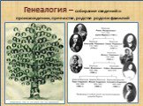 Генеалогия – собирание сведений о происхождении, преемстве, родстве родов и фамилий