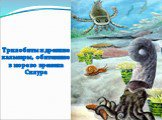 Трилобиты и древние кальмары, обитавшие в море во времена Силура