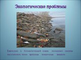 Экологические проблемы. Ежегодно в Атлантический океан попадают десятки миллионов тонн вредных токсичных веществ