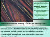 Полосчатые железорудные формации = ПЖФ (в них чередуются слои — полоски — оксида железа и кварца). Джеспилиты (jaspes –яшма). В 90-е годы ХХ века немецкие исследователи обнаружили, что пурпурные бактерии — микроорганизмы, способные окислять Fe без участия кислорода (в ходе анаэробного фотосинтеза, и