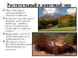 Леса в Болгарии преимущественно широколиственные. В горной части Болгарии обитают многие виды животных: медведи, волки, благородные олени, серны, барсуки, шакалы. Встречается почти 50 видов земноводных и пресмыкающихся. Из редких птиц в Болгарии водятся грифы, бородатые орлы и пеликаны. Растительный