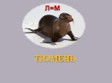 ТЮМЕНЬ Л=М