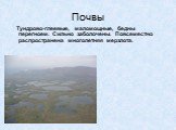 Почвы. Тундрово-глеевые, маломощные, бедны перегноем. Сильно заболочены. Повсеместно распространена многолетняя мерзлота.