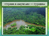 «Страна в джунглях» — Суринам