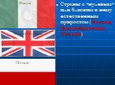 Страны с «нулевым» или близким к нему естественным приростом (Италия, Великобритания, Польша). Италия Великобритания Польша