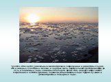 Чукотка отличается уникальным многообразием современных и реликтовых льдов. Это и мощные пластовые залежи, и ледяные жилы вертикальной протяженностью до 50 м, и подземные льды каменных глетчеров. Кроме того, нередко встречаются погребенные остатки древних ледников, инъекционные льды бугров пучения и
