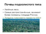 Почвы подзолистого типа. Хвойные леса. Самые распространённые, занимают более половины площади России. Толщина гумусового горизонта 5-8см