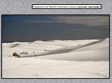 Барханы из белого гипсового песка (пустыня в Нью Мехико)
