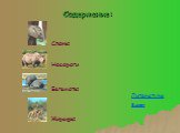 Слоны Бегемоты Носороги Жирафы Содержание: Литература Выход