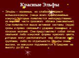 Красные Эльфы. Эльфы – огромные, но слабосветящиеся вспышки-конусы (чаще всего криволинейные конусы), которые появляются непосредственно из верхней части грозового облака (наковальни). Они появляются выше активной системы (ядра) грозы и прямо связаны с ударами линейных и плоских молний. Они представ