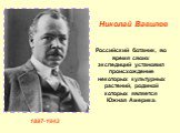Российский ботаник, во время своих экспедиций установил происхождение некоторых культурных растений, родиной которых является Южная Америка. Николай Вавилов 1887-1943