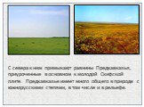 С севера к ним примыкают равнины Предкавказья, приуроченные в основном к молодой Скифской плите. Предкавказье имеет много общего в природе с южнорусскими степями, в том числе и в рельефе.