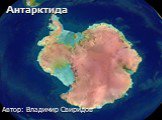 Антарктида. Автор: Владимир Свиридов
