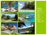 Нуси Бе – один из центров международного туризма, который известен пальмовыми лесами, плантациями сахарного тростинка, иланг-иланга, бамбуковыми рощами и прекрасными пляжами. Главная изюминка острова – подводный мир. Остров нуси-бе