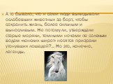 А то бывало, что и сами люди выкидывали ослабевших животных за борт, чтобы сохранить жизнь, более сильным и выносливым. Не потому ли, утверждали старые моряки, темными ночами по соленым водам «конских широт» носятся призраки утонувших лошадей?.. Но это, конечно, легенды.