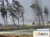 ТАЙФУН. Тропический циклон