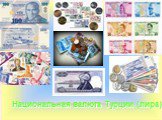 Национальная валюта Турции (лира)