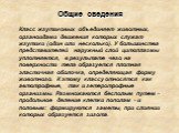 Общие сведения. Класс жгутиковых объединяет животных, органоидами движения которых служат жгутики (один или несколько). У большинства представителей наружный слой цитоплазмы уплотняется, в результате чего на поверхности тела образуется плотная эластичная оболочка, определяющая форму животного. К это