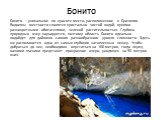 Бонито. Бонито – уникальное по красоте место, расположенное в Бразилии. Водоемы местности славятся кристально чистой водой, яркими разноцветными обитателями, зеленой растительностью. Глубина природных озер варьируется, поэтому область Бонито идеально подойдет для дайвинга самого разнообразного уровн