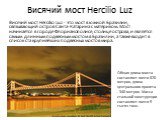 Висячий мост Hercilio Luz. Висячий мост Hercilio Luz - это мост в южной Бразилии, связывающий остров Санта-Катарина с материком. Мост начинается в городе Флорианополисе, столице острова, и является самым длинным подвесным мостом в Бразилии, а также входит в список ста крупнейших подвесных мостов мир