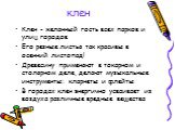 клен. Клен - желанный гость всех парков и улиц городов Его резные листья так красивы в осенний листопад! Древесину применяют в токарном и столярном деле, делают музыкальные инструменты: кларнеты и флейты В городах клен энергично усваивает из воздуха различные вредные вещества