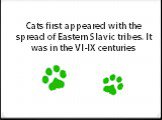 Cats first appeared with the spread of Eastern Slavic tribes. It was in the VI-IX centuries