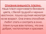 Описание внешности Масяни. Наша Мася коричневато-бежевого цвета, с белой грудкой и черным хвостиком. Кошка крупная несмотря на ее возраст. Она очень спокойная. Любит спать и смотреть в окно. Маня лучше всех потому, что она добрая, чистоплотная и красивая.